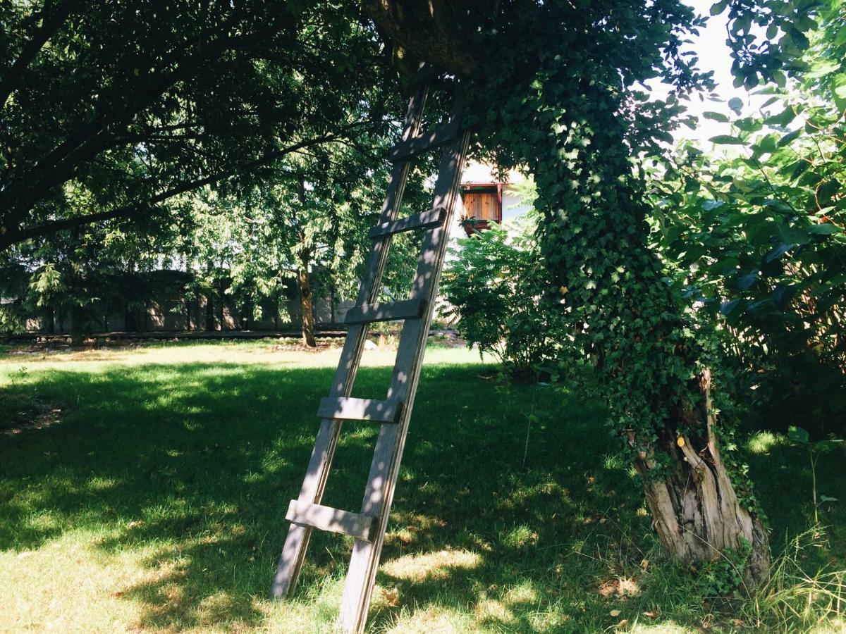 Casa Mia Xix-W Nadmorski Dom Z Ogrodem Cedry Male ภายนอก รูปภาพ