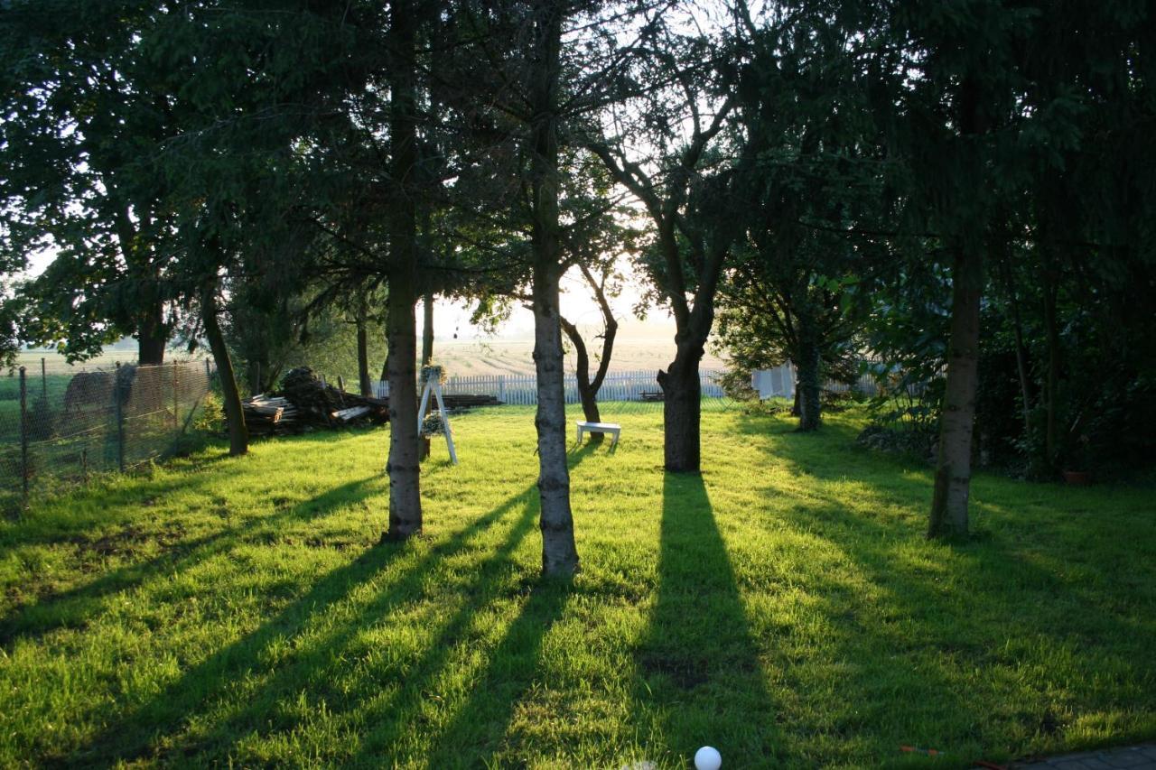 Casa Mia Xix-W Nadmorski Dom Z Ogrodem Cedry Male ภายนอก รูปภาพ